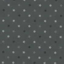 Wykładzina PCV Taralay Impression Compact 0744-stars-anthracite