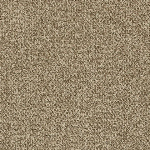 Wykładzina dywanowa MASTER kolor 036