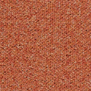 Wykładzina dywanowa w płytkach Tessera Teviot / Basis Pro (Forbo) kolor 4209-clementine